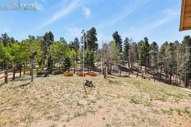 4269 County Road 51, Divide, CO 80814