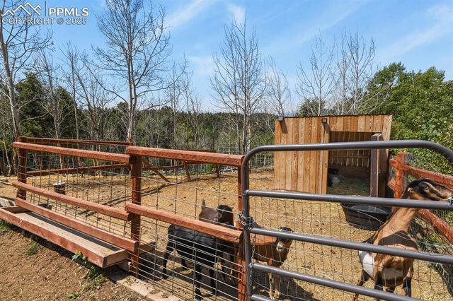 4269 County Road 51, Divide, CO 80814