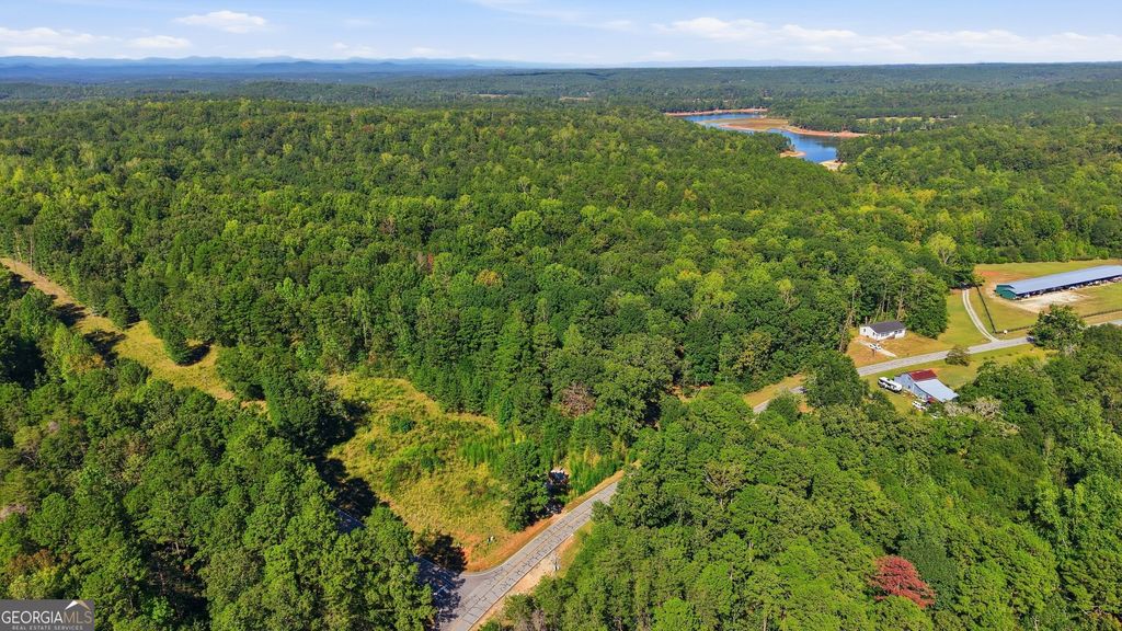 2375 E Silver Shoals Road TRACT 2, Toccoa, GA 30577 — photo 2