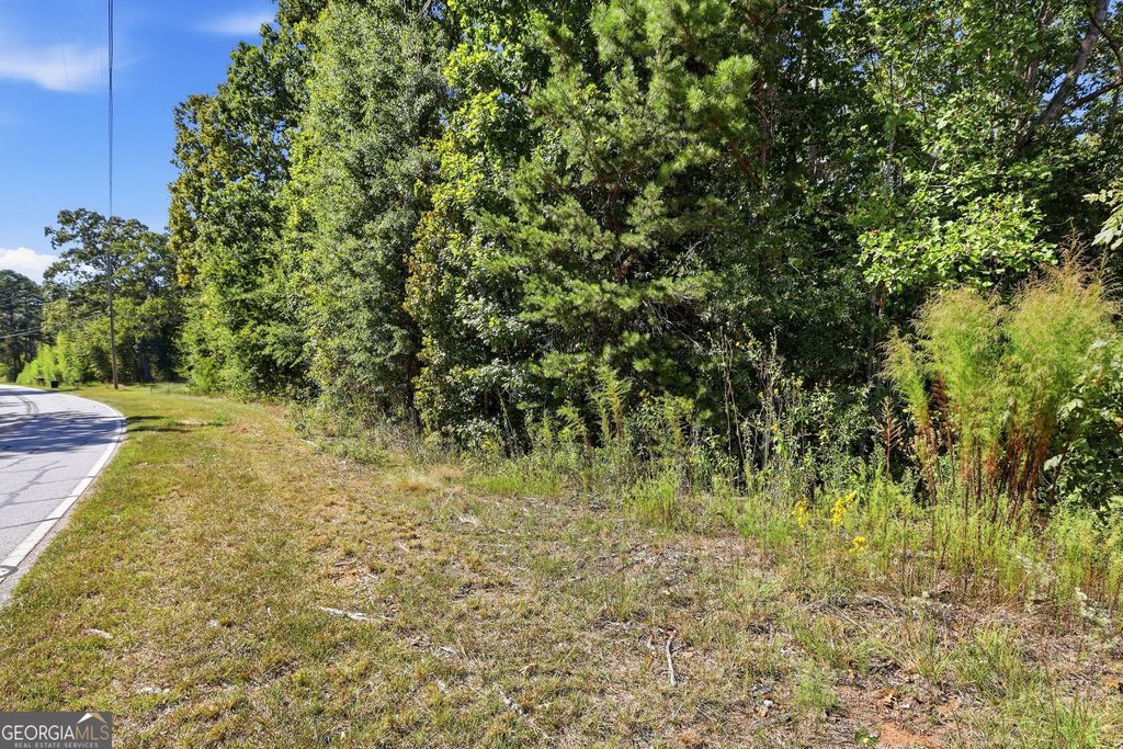 2375 E Silver Shoals Road TRACT 2, Toccoa, GA 30577 — photo 4