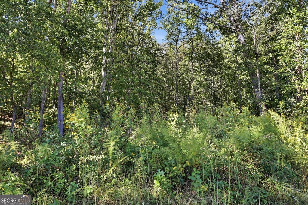 2375 E Silver Shoals Road TRACT 2, Toccoa, GA 30577 — photo 5