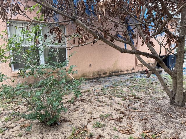 8128 YELLOW CRANE DRIVE, Kissimmee, FL 34747