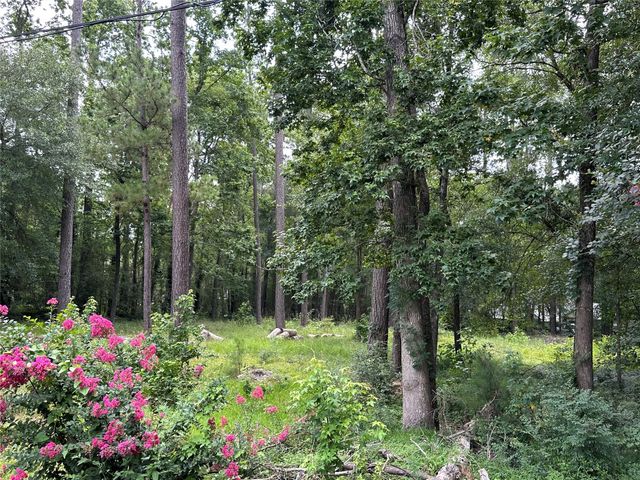 3779 Spring Drive, Huntsville, TX 77340