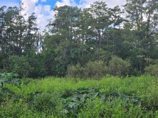 16570 61st Place N, The Acreage, FL 33470