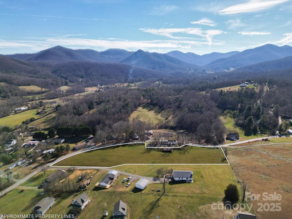 99999 Whataview Drive, Candler, NC 28715