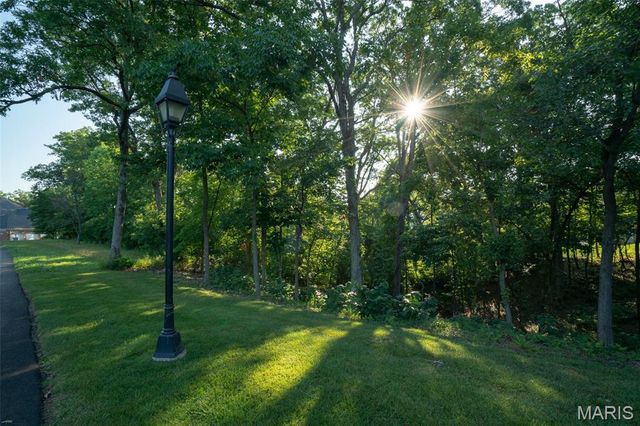 24 TBB Grand Meridien Forest, Wildwood, MO 63005