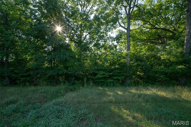 24 TBB Grand Meridien Forest, Wildwood, MO 63005