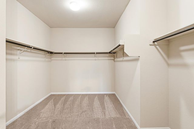 3004 Cain Harvest CV, Austin, TX 78754