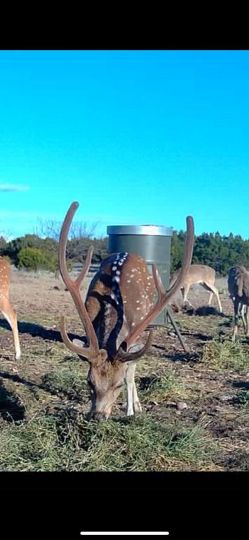 Image 1 of property listing at 0000 Baker Rd Road, Sonora, TX 76950