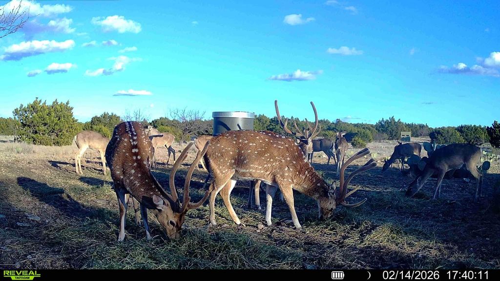 Image 3 of property listing at 0000 Baker Rd Road, Sonora, TX 76950