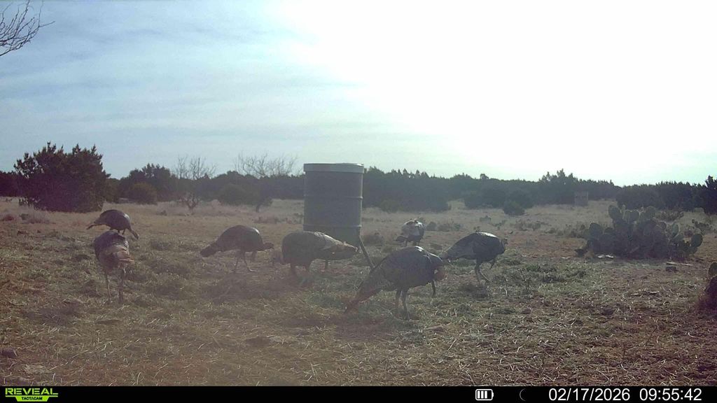 Image 9 of property listing at 0000 Baker Rd Road, Sonora, TX 76950