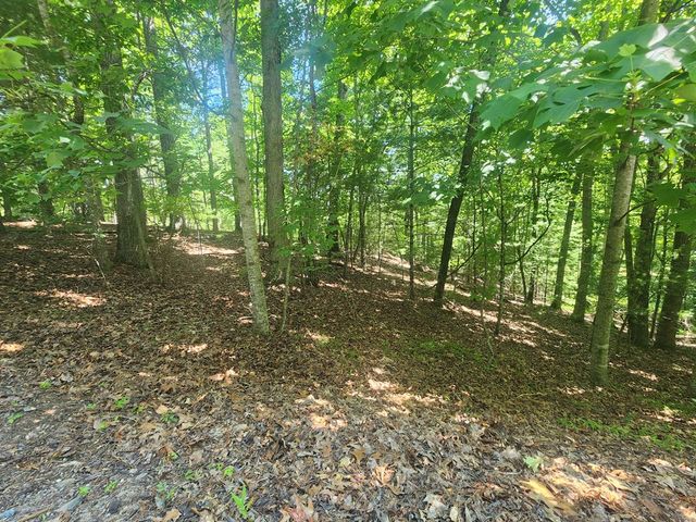 Lot 3 Meadow View Drive, Morganton, GA 30560