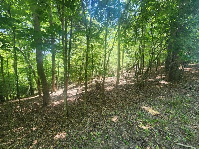 Lot 3 Meadow View Drive, Morganton, GA 30560