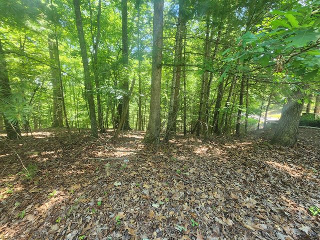 Lot 3 Meadow View Drive, Morganton, GA 30560