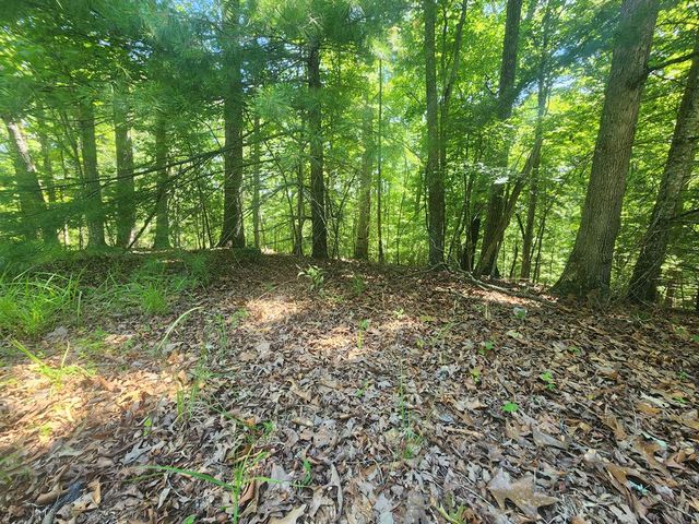 Lot 3 Meadow View Drive, Morganton, GA 30560