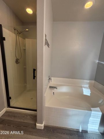 24492 W MOBILE Lane, Buckeye, AZ 85326