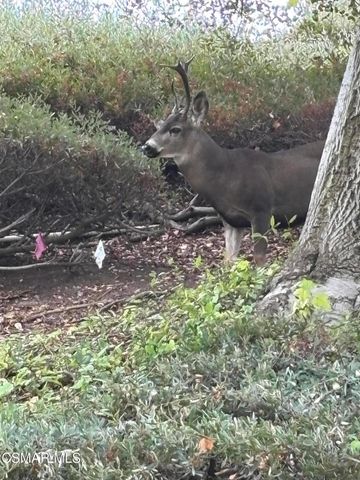 780 Covewood Street, Oak Park, CA 91377