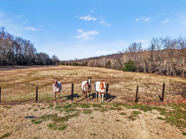 600 Bates Hollow Rd, Prospect, TN 38477