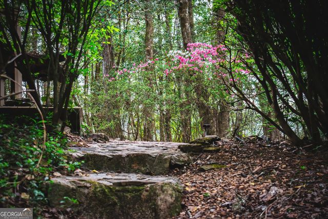 742 Beaver Run Road 16, Blairsville, GA 30512