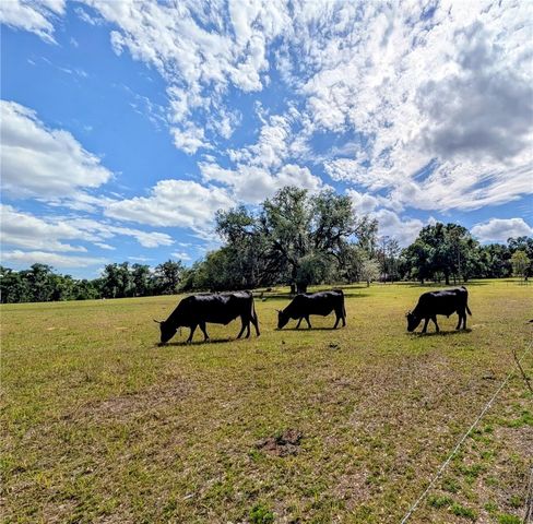 0 SWEETWATER ROAD, Dade City, FL 33523