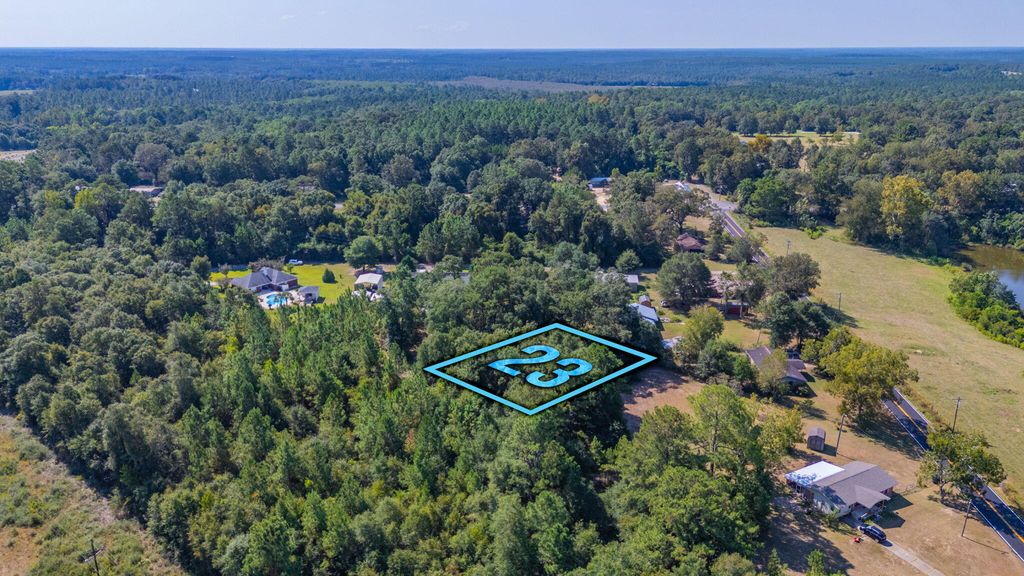LOT 23 Blueberry Drive, Laurel Hill, FL 32567