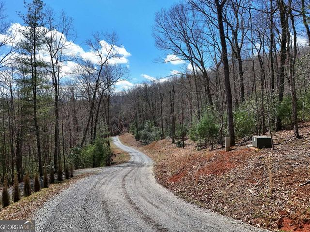 LOT 9 Native Trail, Blue Ridge, GA 30513