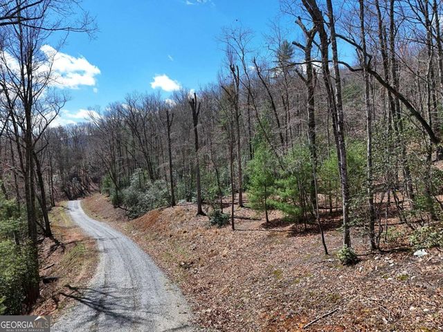 LOT 9 Native Trail, Blue Ridge, GA 30513