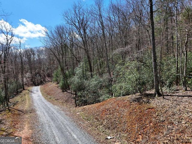 LOT 9 Native Trail, Blue Ridge, GA 30513