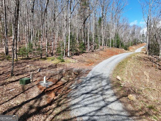LOT 9 Native Trail, Blue Ridge, GA 30513