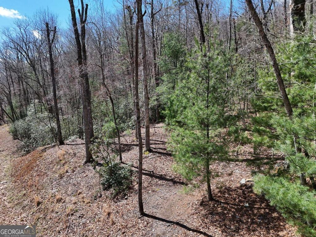 LOT 9 Native Trail, Blue Ridge, GA 30513