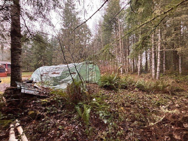 121 ATMORE Rd, Toutle, WA 98649