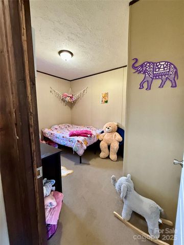 5300 Startown Road, Newton, NC 28658