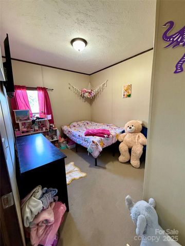 5300 Startown Road, Newton, NC 28658