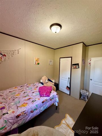5300 Startown Road, Newton, NC 28658