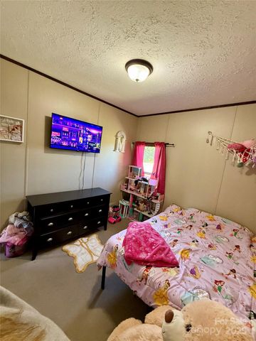 5300 Startown Road, Newton, NC 28658