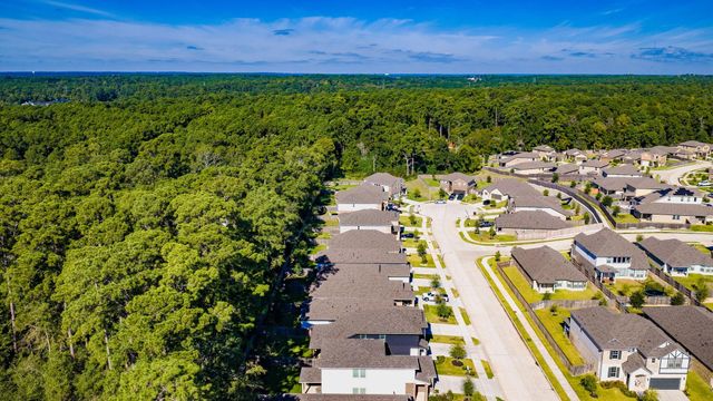 1745 Succotash Oak Court, Conroe, TX 77304