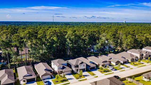1745 Succotash Oak Court, Conroe, TX 77304