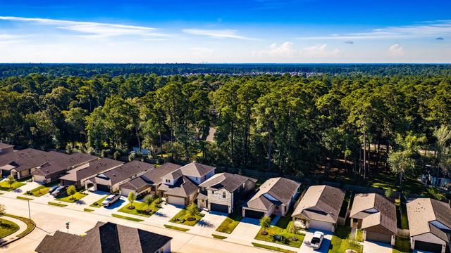 1745 Succotash Oak Court, Conroe, TX 77304