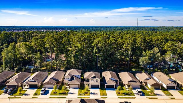 1745 Succotash Oak Court, Conroe, TX 77304