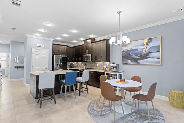 8711 TERRACINA LAKE DRIVE, Tampa, FL 33625