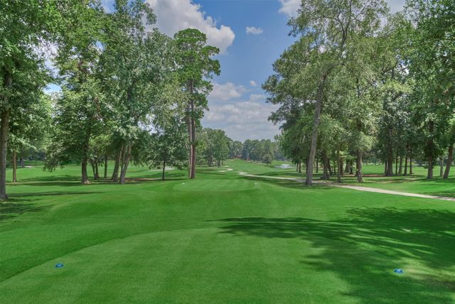 3303 Woodchuck Road, Montgomery, TX 77356