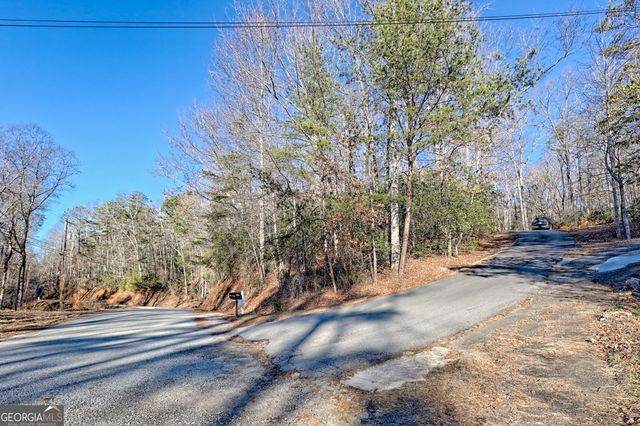 1063 Joe Davis Road, Tiger, GA 30576