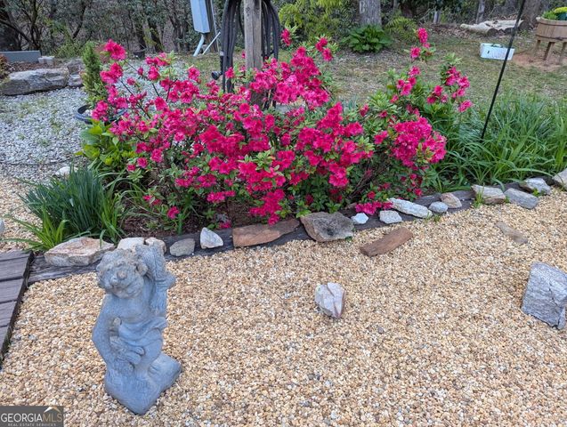 1063 Joe Davis Road, Tiger, GA 30576