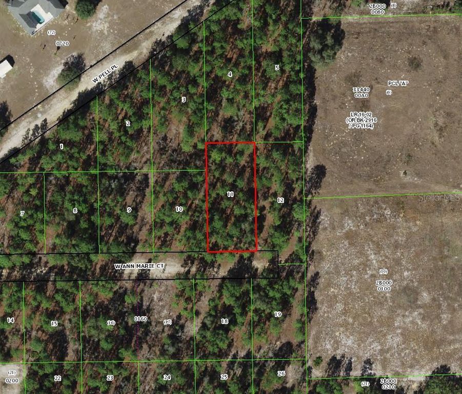 6031 W ANN MARIE COURT, Dunnellon, FL 34433