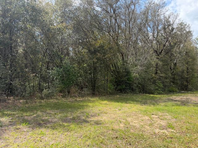 10+ AC Broxson Road, Holt, FL 32564