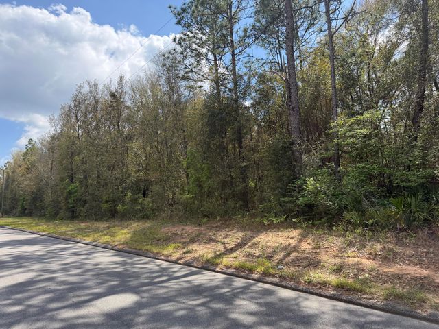 10+ AC Broxson Road, Holt, FL 32564