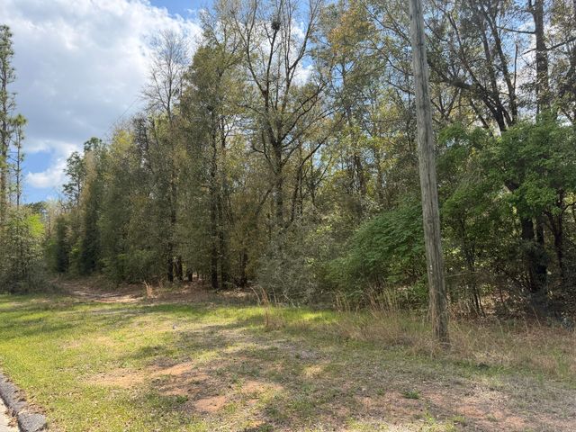 10+ AC Broxson Road, Holt, FL 32564