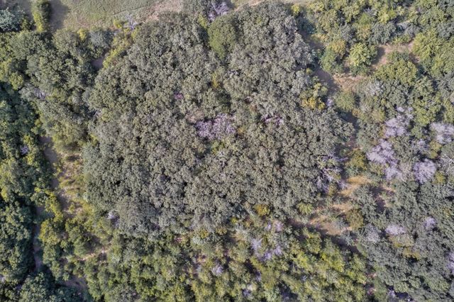 0000 Dobbs Road, Corinth, TX 76208
