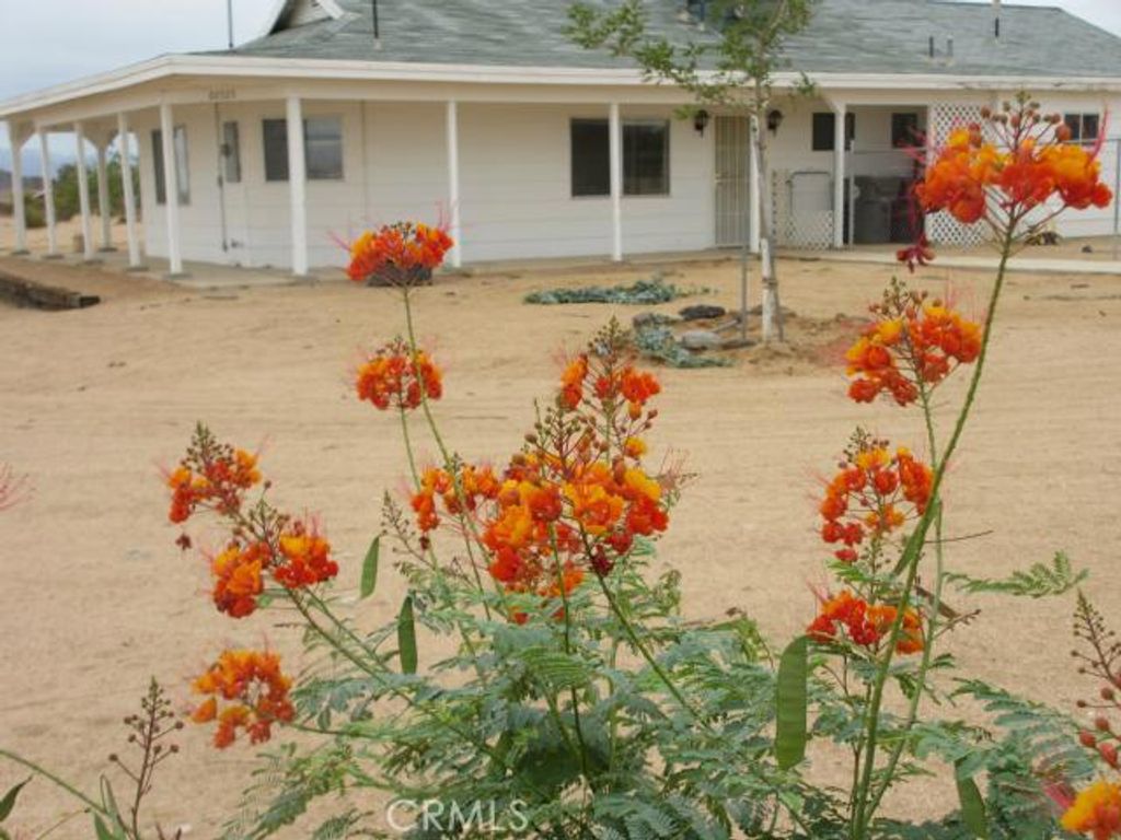 Image 1 of property listing at 62323 Mars Drive, Joshua Tree, CA 92252