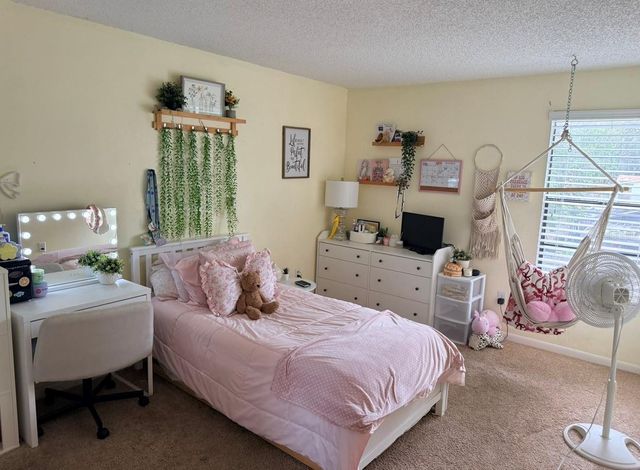 4303 ELLENVILLE PLACE, Valrico, FL 33596